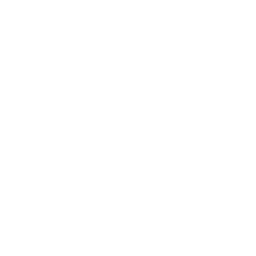 Emirates Logo White